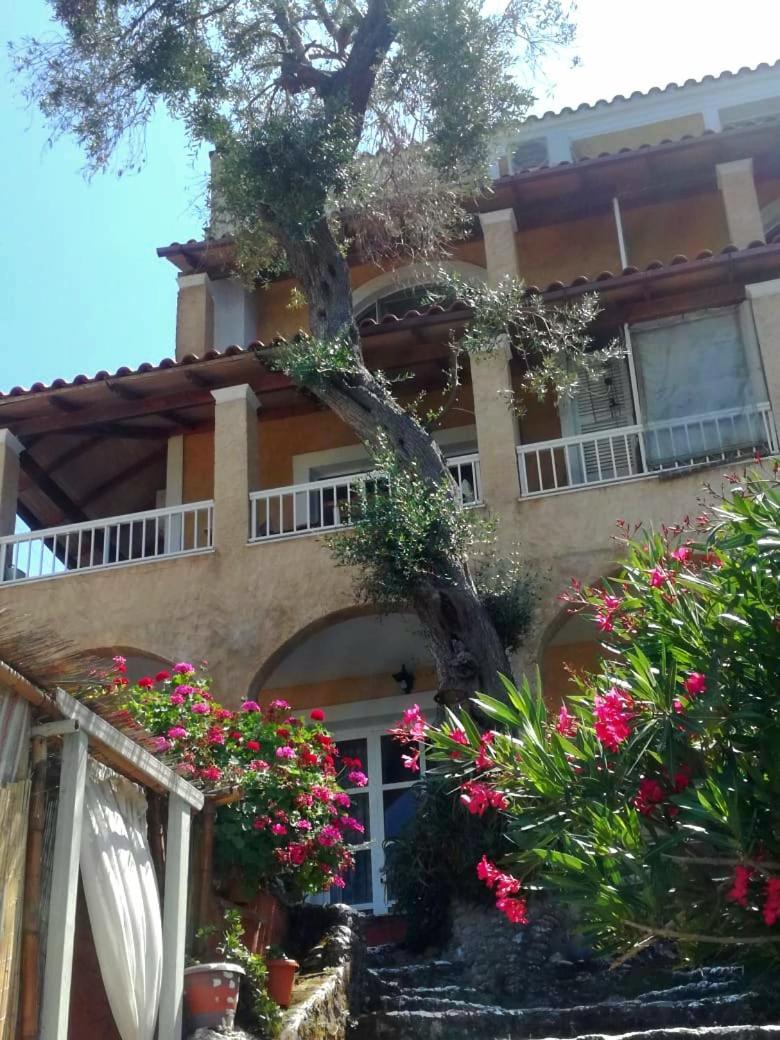 Kohyli Beachfront House Agia Pelagia Chlomou Exterior foto